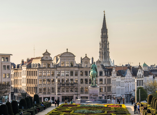 Unraveling the Origins of Belgian Fries